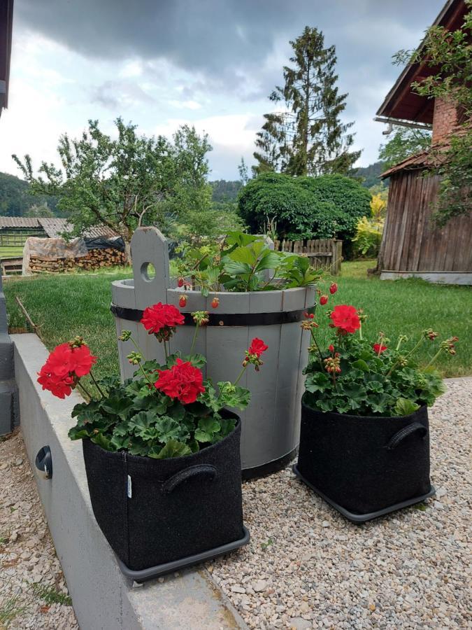 Pr' Sovarjo Zgornje Gorje Bagian luar foto
